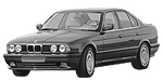 BMW E34 P3610 Fault Code